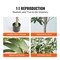Artificial Olive Tree Tall Faux Potted Plant for Home Office Indoor Outdoor Decor